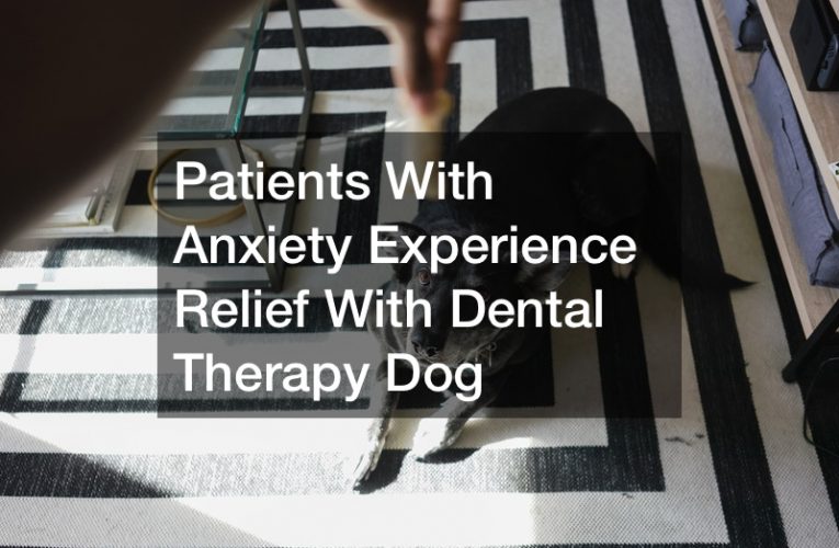 Patients With Anxiety Experience Relief With Dental Therapy Dog