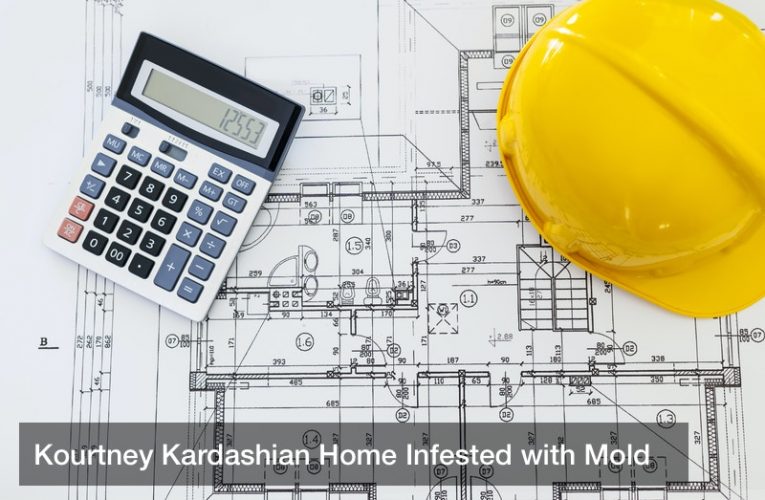 Kourtney Kardashian Home Infested with Mold